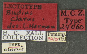 Media type: image;   Entomology 24060 Aspect: labels